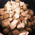 クックWRSX90☆'s cooksnap of when they made めんつゆとフライパンで簡単に鶏ゴボウ煮.
