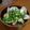 サーフブレイド's cooksnap of when they made 【簡単】あさりの味噌汁.