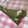 イノコ台所研究所's cooksnap of when they made 乾燥バジル.