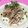 ♡P428♡'s cooksnap of when they made 簡単！美味い！もやしとえのきでもう一品.