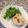 トレピアンテ's cooksnap of when they made 茄子を味わう丸茄子のおやき（焼きＶｅｒ）.