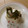 きらり流れ星's cooksnap of when they made 胡瓜とえのきの中華風サラダ☆冷奴乗せ★.