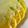 野菜のはたけ's cooksnap of when they made 玉ねぎドレッシングのトマトサラダ.