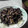 しおとも's cooksnap of when they made 焦がしネギ納豆.