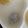 グランティラノス's cooksnap of when they made 離乳食中期　しらすのおかゆ.