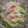 chieko333's cooksnap of when they made 簡単！レタスとカニのマヨサラダ.