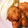 ぷぺちゃん's cooksnap of when they made 基本の唐揚げ♪.