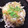 VAVArin's cooksnap of when they made 豚肉と大根のオイスター炒め.