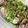 クック0WXE1I☆'s cooksnap of when they made ぱぱっと！なすと豚バラのレンジ蒸し.