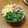 msft5632's cooksnap of when they made 三色丼の小技.