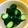 a0imama♡'s cooksnap of when they made きゅうりの簡単ニンニク風味ごま油漬け.