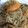 マシュマロ0918's cooksnap of when they made 帆立と舞茸とモヤシのバター醤油炒め.