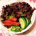 あざらしの赤ちゃん's cooksnap of when they made サニーレタスのシンプルサラダ.