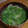 サーフブレイド's cooksnap of when they made 定番♪あさりの味噌汁☆.
