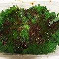 一番星寿美次郎's cooksnap of when they made シソキムチ？ホカホカご飯にピリッと絶品！◆青じその韓国風しょうゆ漬け◆.