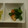 ぴよこまめ3's cooksnap of when they made ちくわとピーマンの照り炒め.
