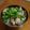 サーフブレイド's cooksnap of when they made あさりのお味噌汁（*´▽`*).