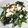 きじおとこたま's cooksnap of when they made ほうれん草の胡桃チーズ和え.