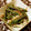 mihoppen's cooksnap of when they made *お弁当*アスパラとちくわのゆかりマヨ.