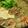 Lila's cooksnap of when they made タイの鍋料理✱おうちでタイスキ.
