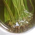 れいあーん's cooksnap of when they made わらびの茹で方（私流）.