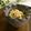 まろんかふぇ's cooksnap of when they made 豆腐そぼろ.