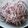 nomasa's cooksnap of when they made ゆかり大根.