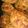 クックW4C41C☆'s cooksnap of when they made 我が家の伝統☆コロッケ.