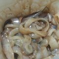 ashikana's cooksnap of when they made イカの塩辛.