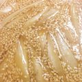 ねじまきどり０１０３'s cooksnap of when they made お洒落な甘ダレ胡麻牛蒡.