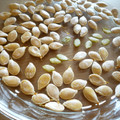 もりちゃんズ's cooksnap of when they made かぼちゃの種の洗い方.
