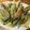 野菜350g。's cooksnap of when they made カリカリ✨簡単！オクラのカニカマの天ぷら.