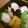 marilin36's cooksnap of when they made 豚肉ロース薄切り ちくわ巻き.