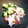 モカモカモカモカ's cooksnap of when they made たこときゅうりの梅肉和え.