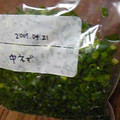 ayuぱんDX's cooksnap of when they made 小ネギの保存.