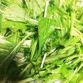 ＊Kie＊'s cooksnap of when they made 水菜のサラダ.