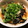 ma♡yu's cooksnap of when they made ☆茄子といんげんとおくらの揚げ浸し☆.