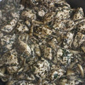 ナリンギン's cooksnap of when they made 塩麹鶏ときのこのゆかり炒め.