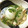 ロングマン's cooksnap of when they made 新玉ねぎの丸ごとポトフ.