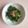 すばる1's cooksnap of when they made ダシしょう油で作るほうれん草のお浸し.