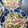 chichiyoo's cooksnap of when they made ベーコンとしめじの焼きうどん.