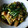 nakameg's cooksnap of when they made 茄子の揚げ浸し、ネギ生姜ソースで♪.