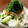 cocoりえ's cooksnap of when they made 簡単和えるだけ～なめたけおろし～.