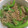 yokotoku's cooksnap of when they made 万願寺とうがらしとおじゃこ炒め.