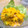 morio28's cooksnap of when they made ハムとかぼちゃのからしマヨサラダ.