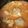 masumin110's cooksnap of when they made 肉団子とキャベツのトマト煮込み.
