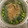 のんマリ's cooksnap of when they made 枝豆と刺身蒟蒻の☆胡麻梅和え.