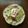 ニコハピさん's cooksnap of when they made 【松橋】実は簡単！生地から作るタコス！.