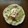 ニコハピさん's cooksnap of when they made 【松橋】実は簡単！生地から作るタコス！.