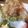 れあきち's cooksnap of when they made 中華風?!島豆腐とアボカドのサラダ.